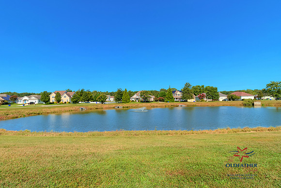 W-SHORE-PRINT-006
