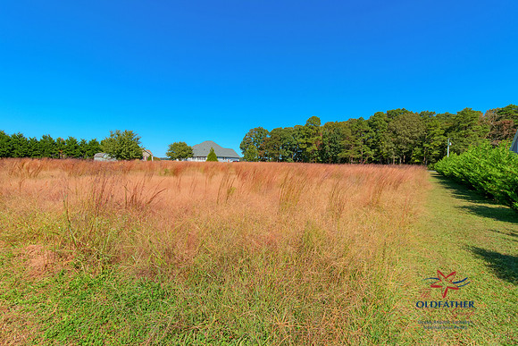 DEERFOREST-PRINT-008