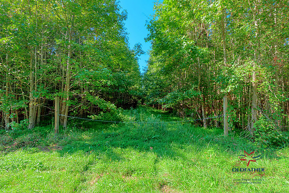 PAWPAW-PRINT-005