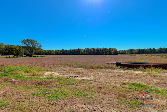 HARMONSHILL-PRINT-005