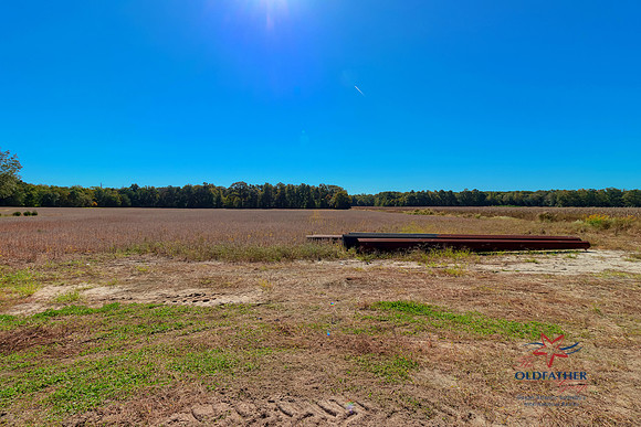 HARMONSHILL-PRINT-004
