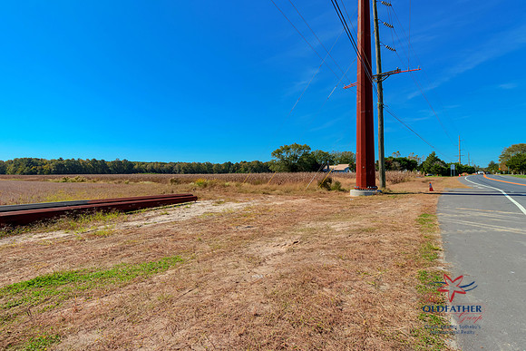 HARMONSHILL-PRINT-006