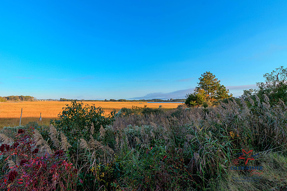 GLOUCESTER-PRINT-008