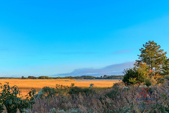 GLOUCESTER-PRINT-009