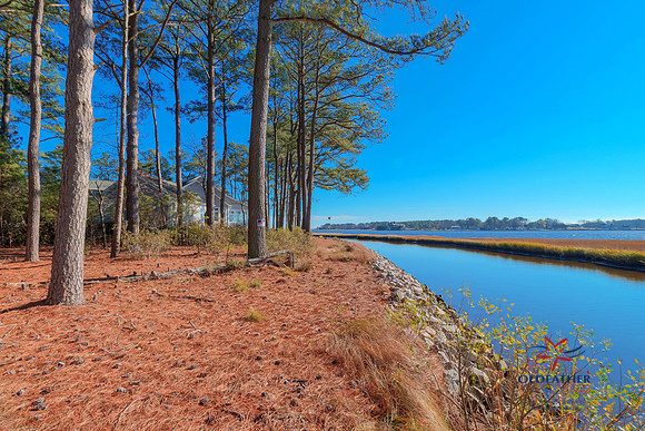 BREEZY-CREEK-PRINT-005