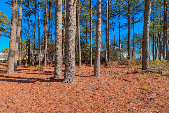 BREEZY-CREEK-PRINT-004