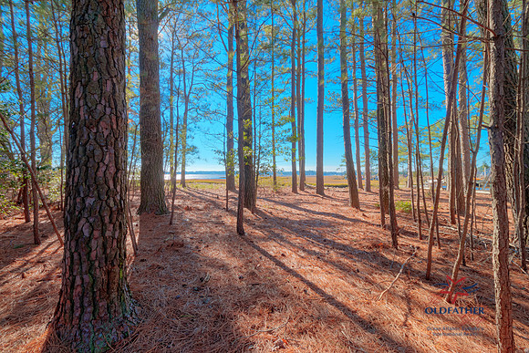 BREEZY-CREEK-PRINT-003