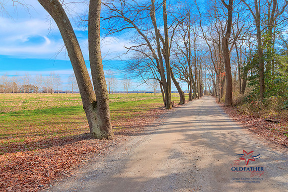 CANTERBURY-PRINT-004