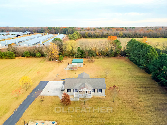 WEBB-FARM-11169-PRINT-012