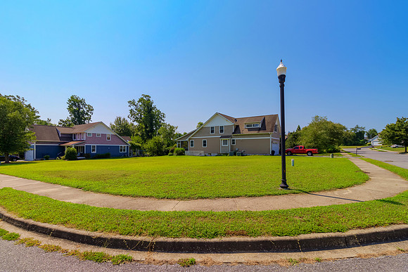 SASSAFRAS-PRINT-004