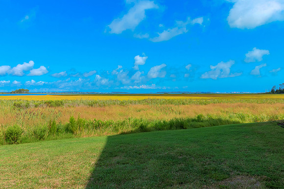 BIGMARSH-PRINT-018