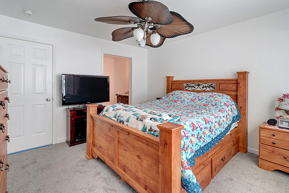 PINOAK-PRINT-041