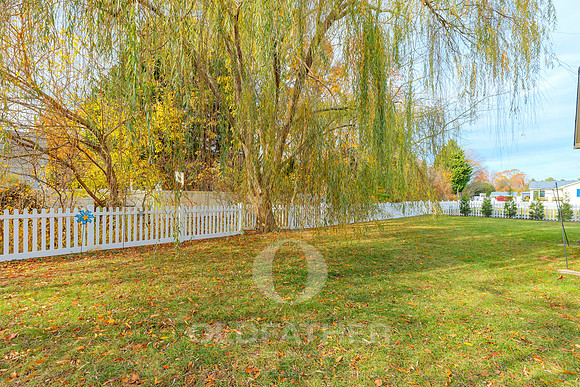 EAGLE-29-PRINT-022