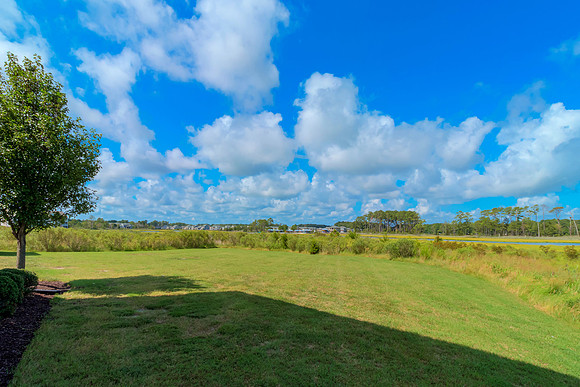 BIGMARSH-PRINT-021