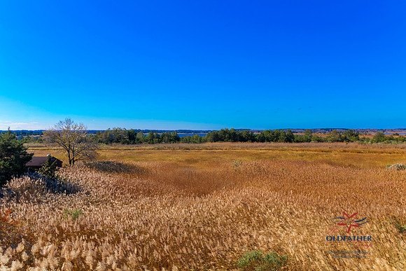 SBAYSHORE-PRINT-051