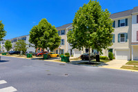 BRUNSWICK - 20936 Brunswick, Millsboro DE