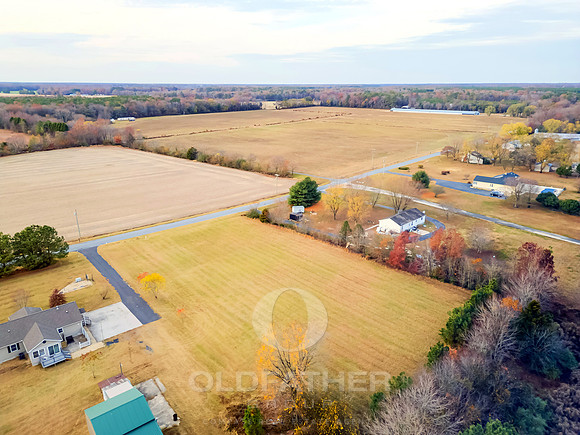 WEBB-FARM-11169-PRINT-003