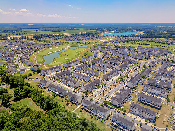 BRUNSWICK-20936-PRINT-022