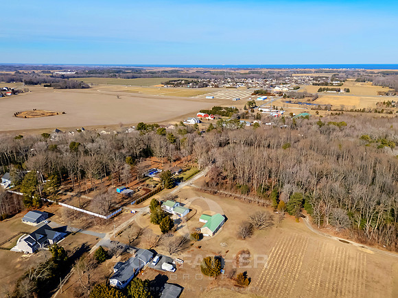 PICKERING-15997-PRINT-003