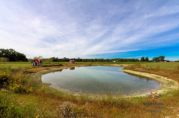 8437 GREENWOOD RD, Greenwood (Sussex), Delaware