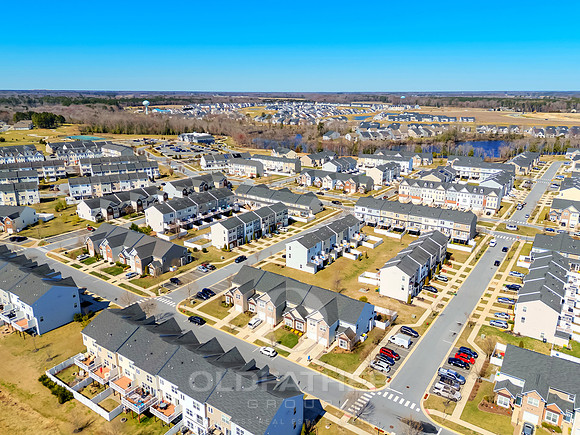 BRUNSWICK-20849-PRINT-003