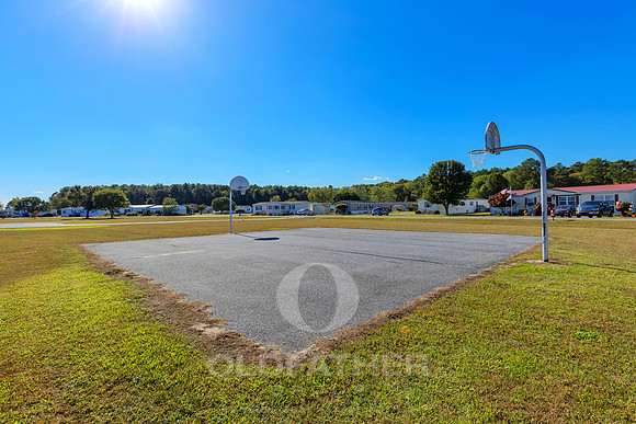 VILLAGE-OF-COOL-BRANCH-PRINT-014