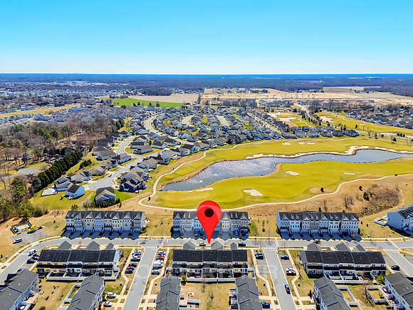 BRUNSWICK-20849-PRINT-011B