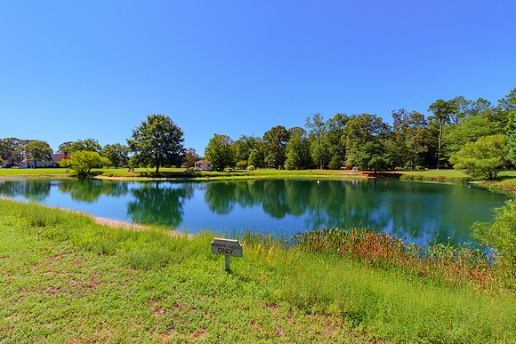 POND-DOCK-PRINT-004