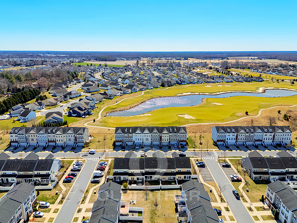 BRUNSWICK-20849-PRINT-008