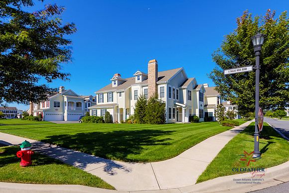 16320 JOHN ROWLAND TRAIL 266, Milton, Delaware