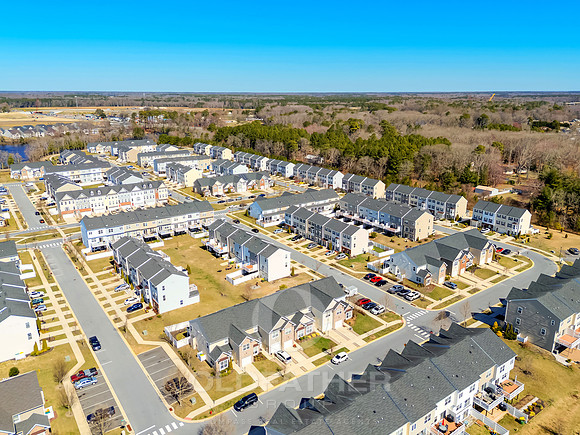 BRUNSWICK-20849-PRINT-001