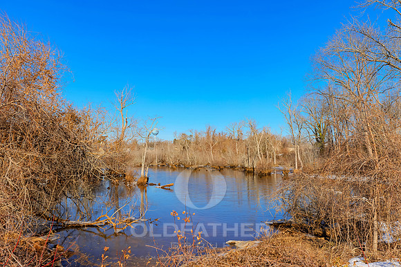 FEDERAL-302-PRINT-032
