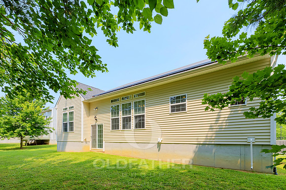 BUR-OAK-101-PRINT-022