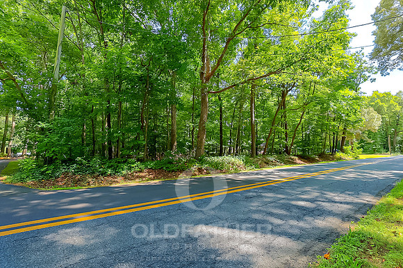 WOOD-BRANCH-LOT5-PRINT-004