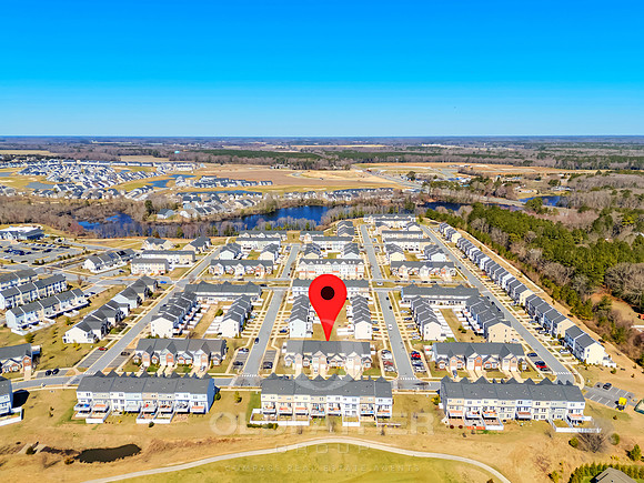 BRUNSWICK-20849-PRINT-005B