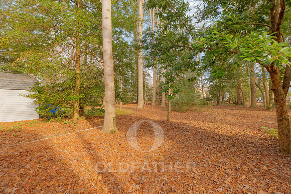 SYCAMORE-22851-PRINT-017
