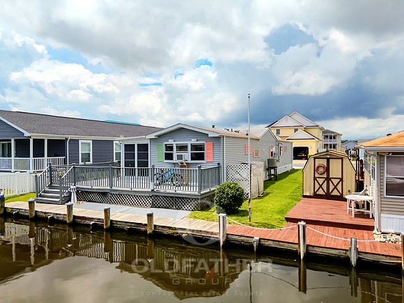 LAWS-POINT-37030-PRINT-017