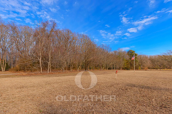 PICKERING-15997-PRINT-028