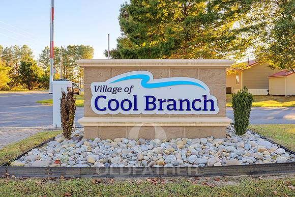 VILLAGE-OF-COOL-BRANCH-PRINT-002