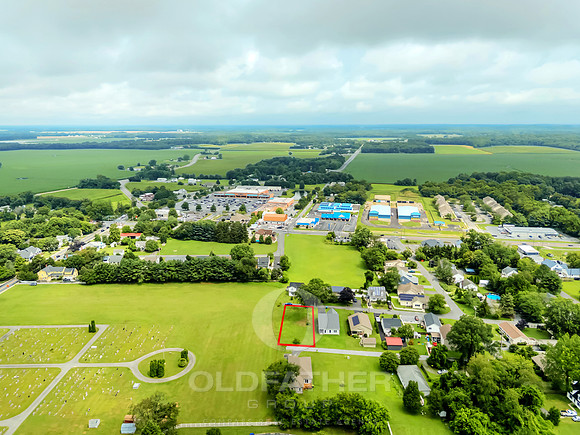 HOLLAND-310-PRINT-014