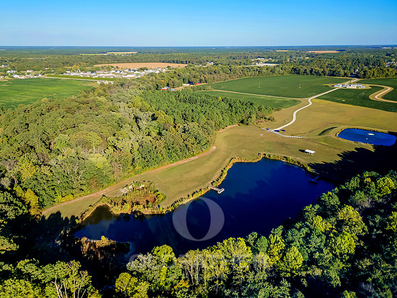 VILLAGE-OF-COOL-BRANCH-PRINT-005