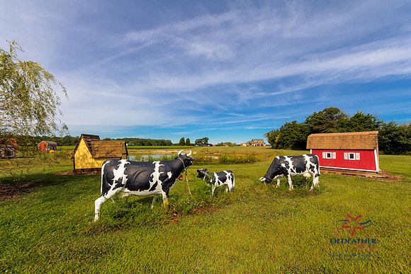 8437 GREENWOOD RD, Greenwood (Sussex), Delaware