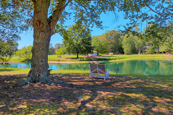 POND-DOCK-PRINT-007