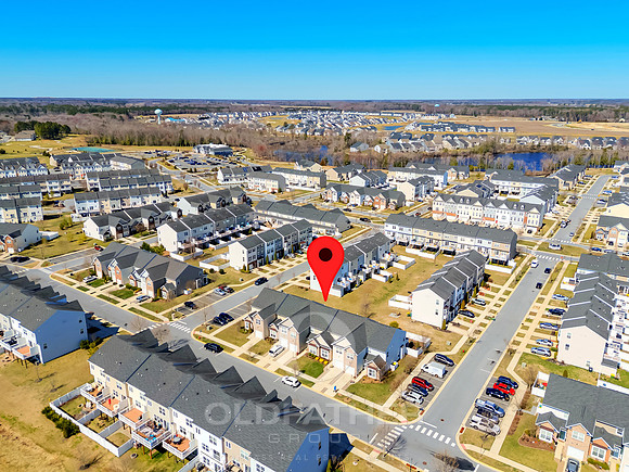 BRUNSWICK-20849-PRINT-003B