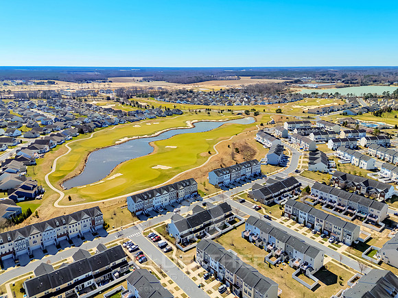 BRUNSWICK-20849-PRINT-010