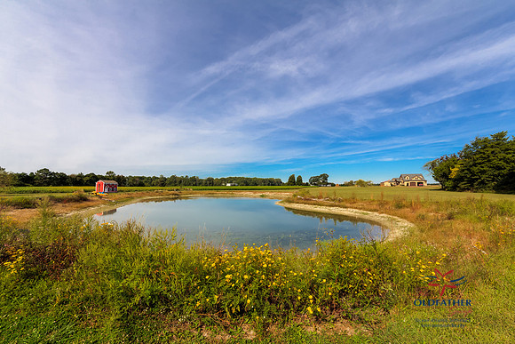 8437 GREENWOOD RD, Greenwood (Sussex), Delaware