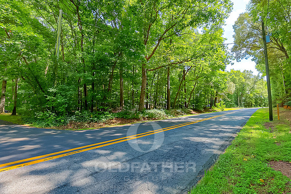 WOOD-BRANCH-LOT5-PRINT-005