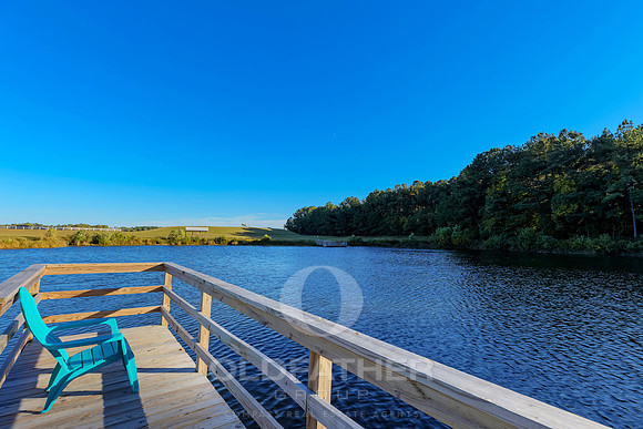 VILLAGE-OF-COOL-BRANCH-PRINT-009