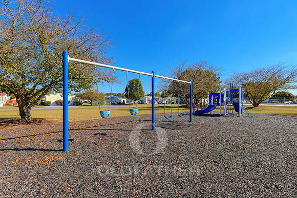 VILLAGE-OF-COOL-BRANCH-PRINT-012
