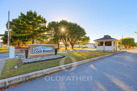 VILLAGE-OF-COOL-BRANCH-PRINT-001